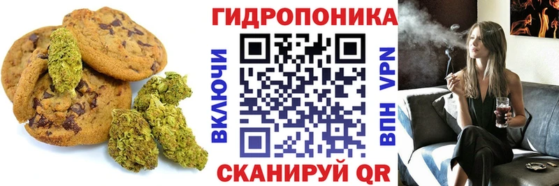 цена   blacksprut маркетплейс  Печенье с ТГК марихуана  Новоузенск 