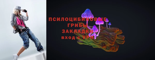 apvp Аркадак