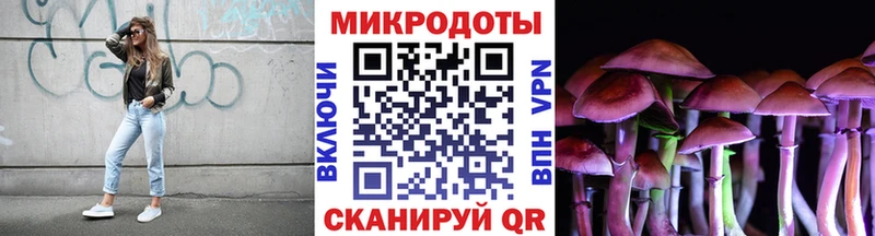 Псилоцибиновые грибы Magic Shrooms  закладка  Новоузенск 